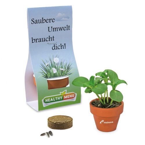 Mini Flowerpot with seeds - Image 2